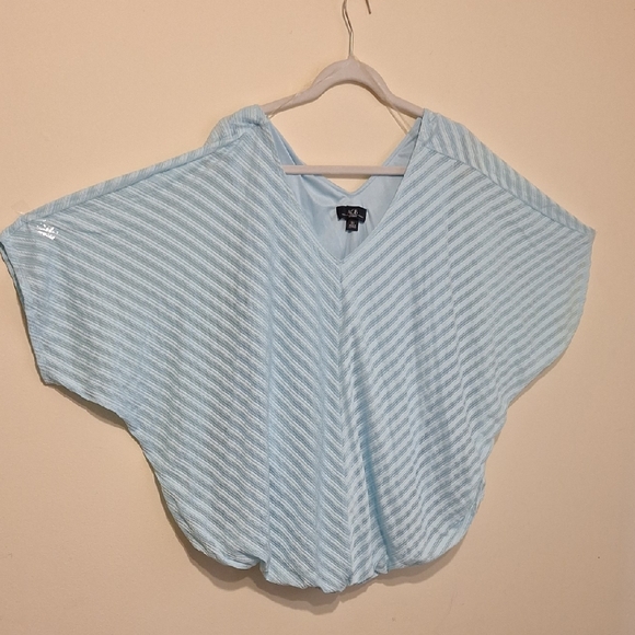 AGB Sky Blue Striped Blouse - Picture 1 of 6